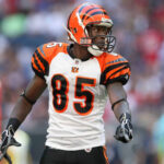 Chad-Ochocinco